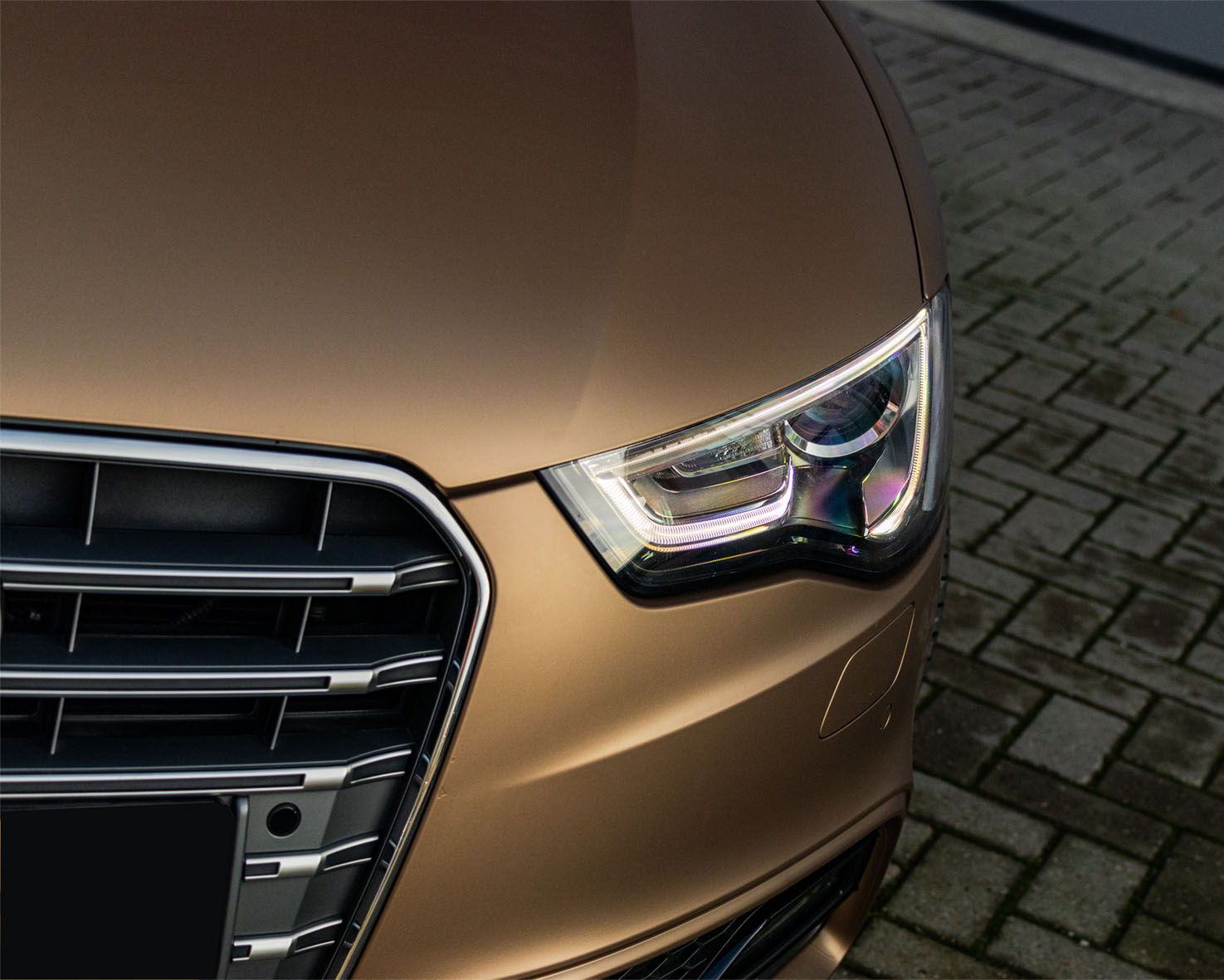 phantom university gold