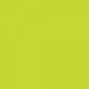 CP1005 Electric Lime​