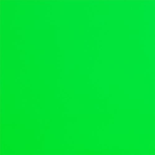 CP1105 Neon Grashopper​