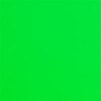 CP1105 Neon Grashopper​